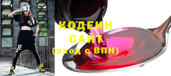 гашик Алзамай